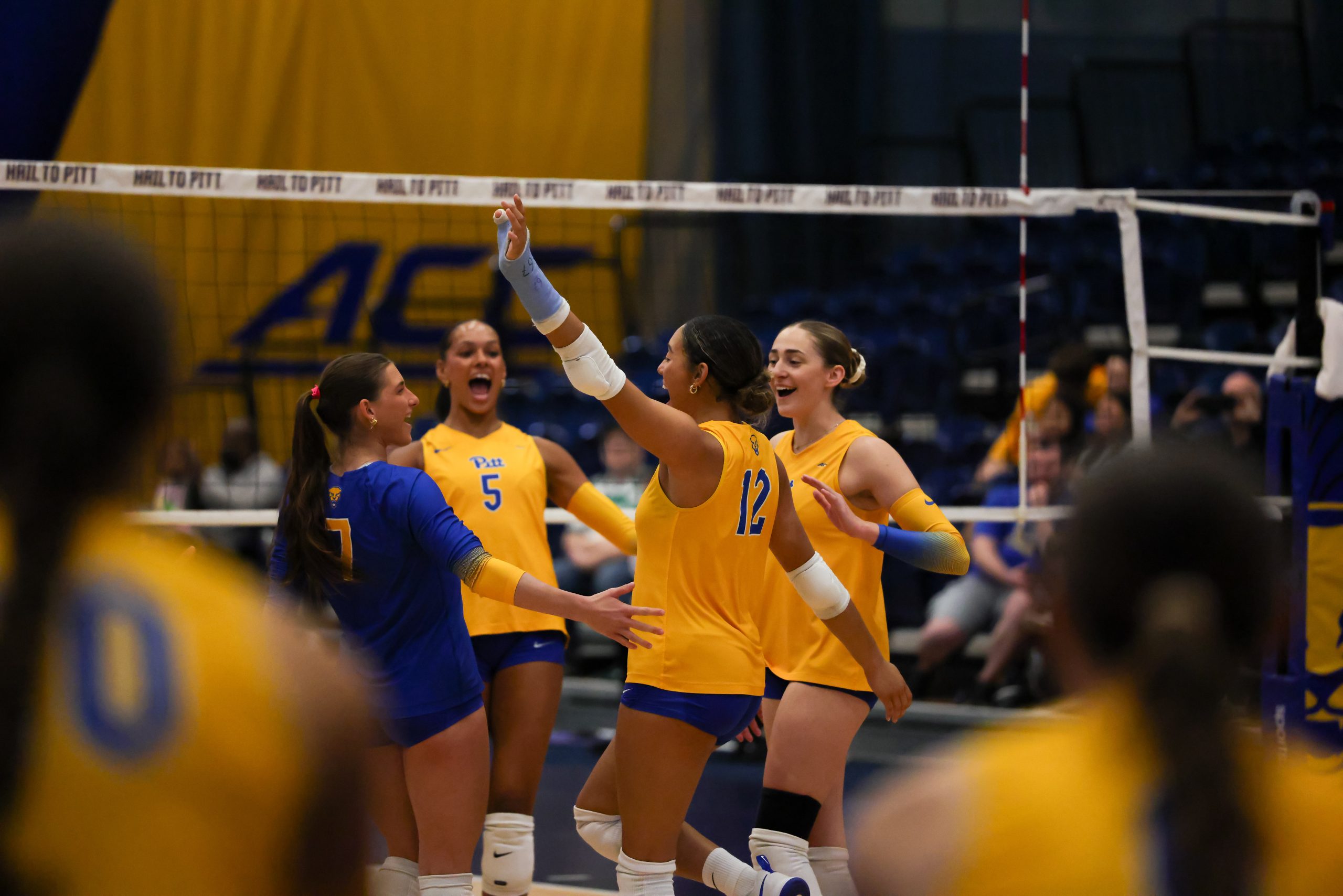 Pitt volleyball-Dan Fisher